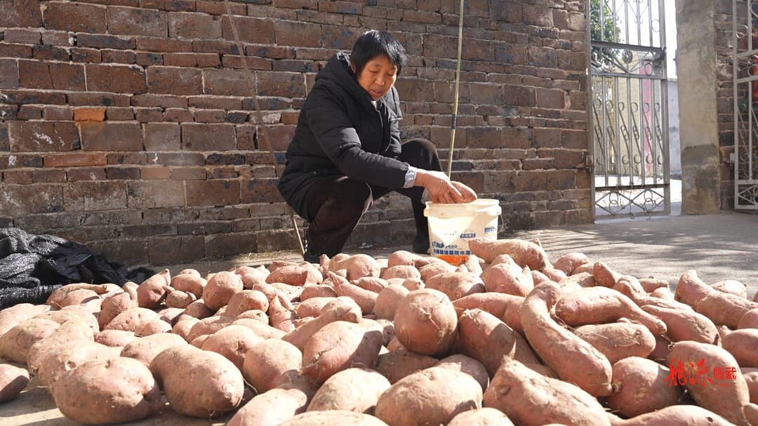 记忆里的红薯干：一位农村妇女的匠心与温情