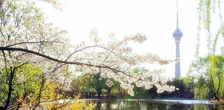 玉渊潭公园：京城赏樱胜地，自然人文景观荟萃