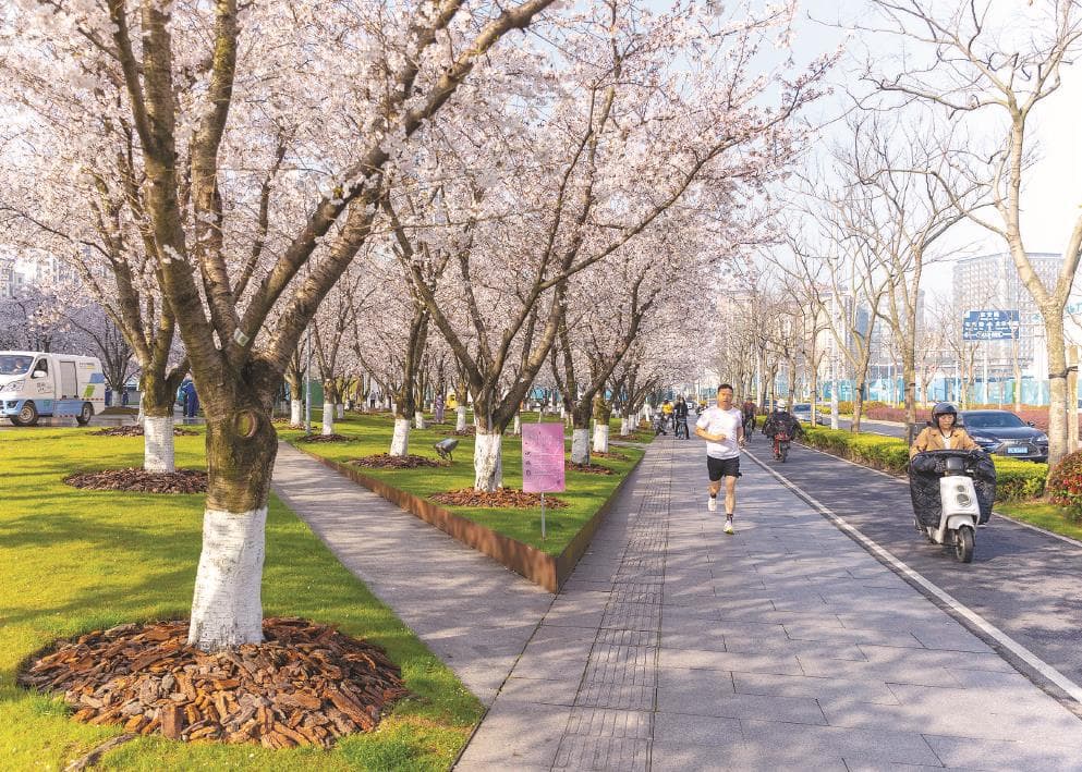 “花”样迭出，申城“春日经济”气象新