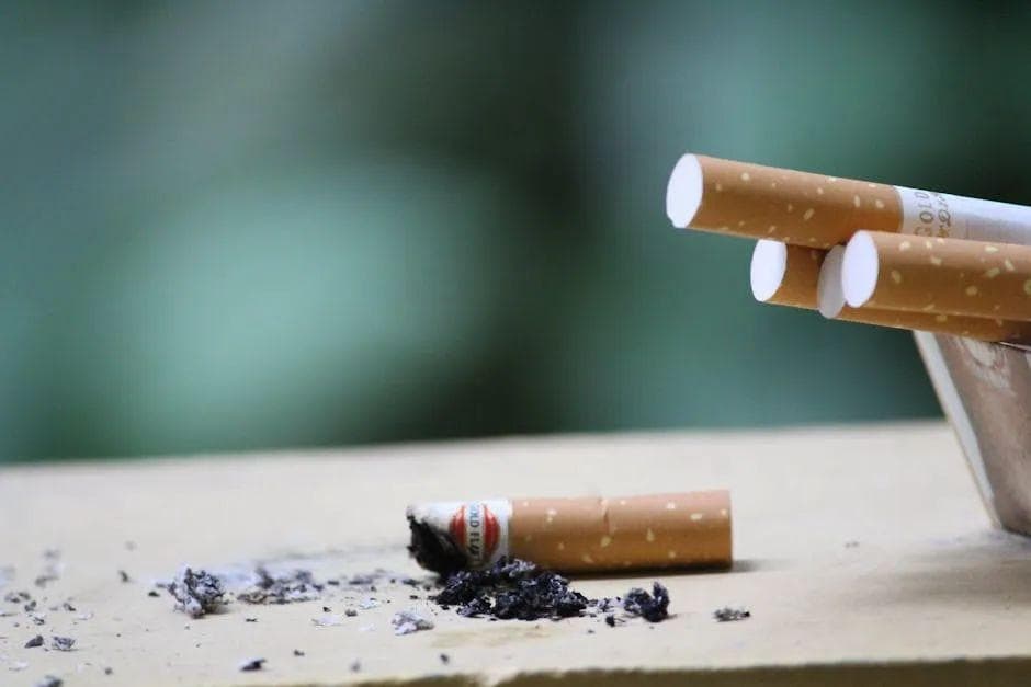 慢性炎症会致癌？那么抗炎饮食到底能不能抗癌？