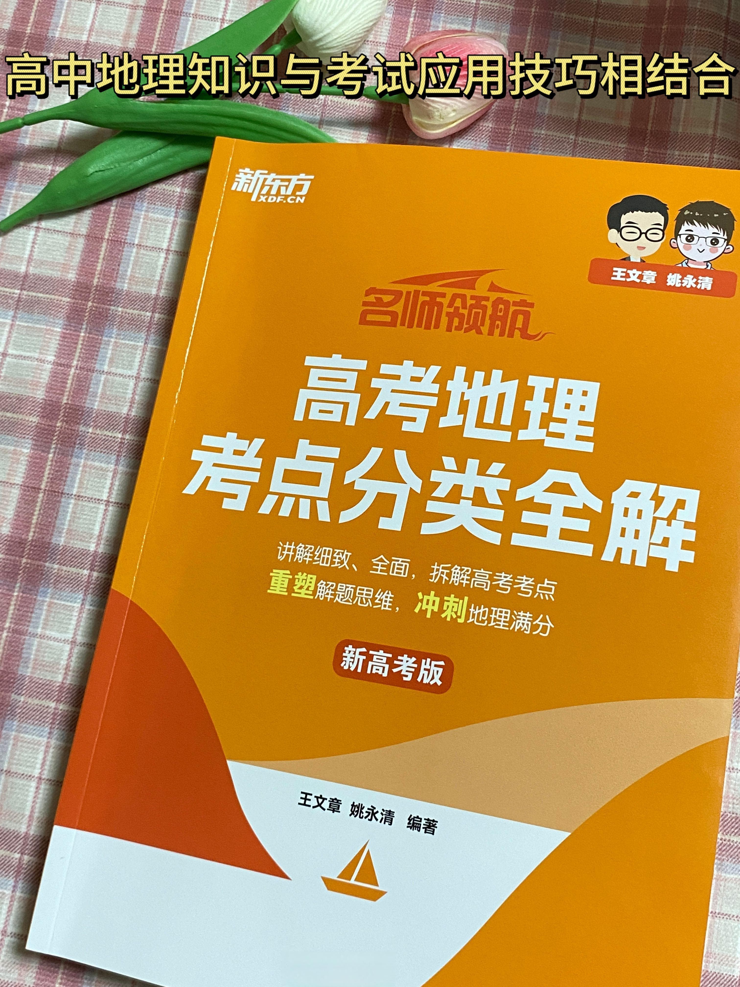 气压带与风带：如何塑造地球气候格局