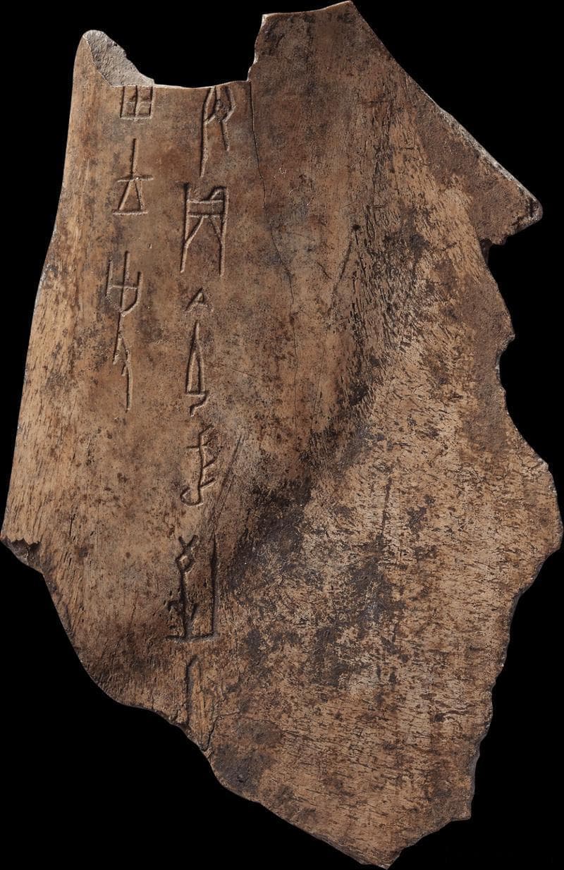 浅议甲骨文对现代汉字的贡献