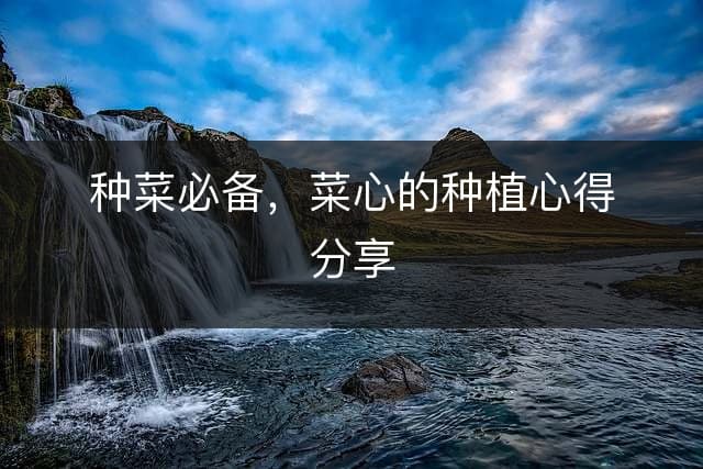 种菜必备，菜心的种植心得分享