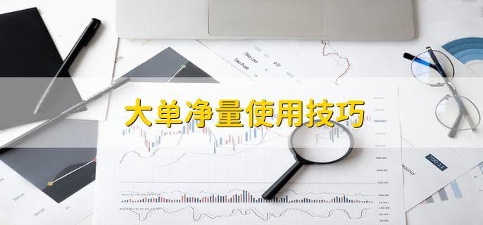 大单净量使用技巧详解：提升股票交易成功率的关键指标