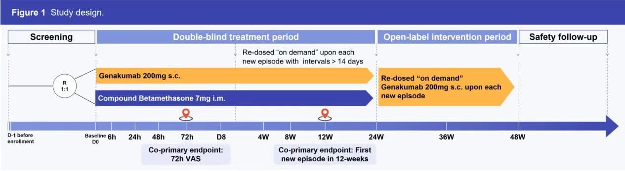 2024 ACR | 中国首款IL-1β单克隆抗体治疗急性痛风性关节炎数据亮眼