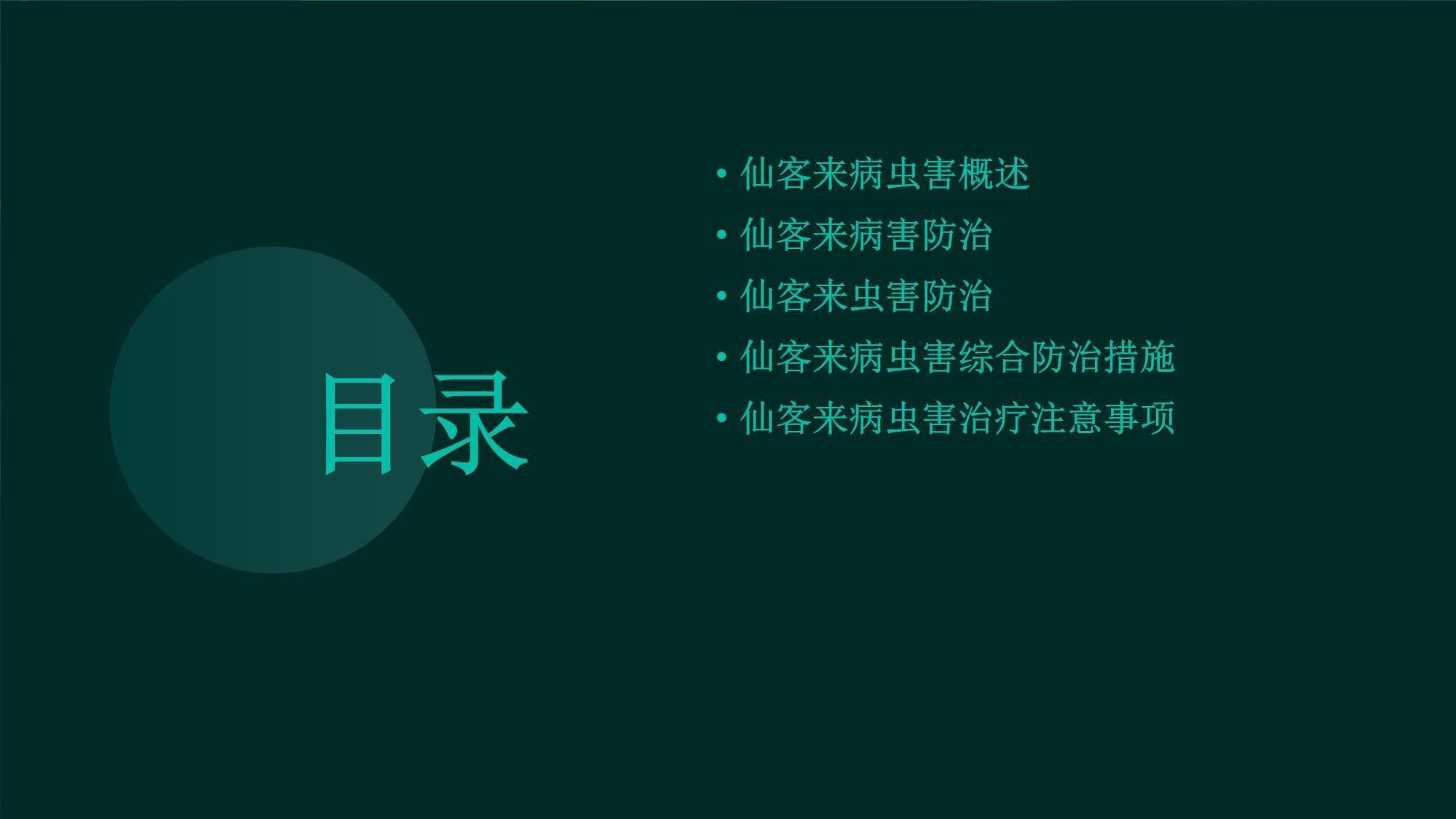 仙客来的病虫害介绍与防治和治疗
