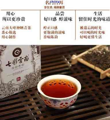 新普洱茶的红袍和非红袍品种之间的关键区别是什么？