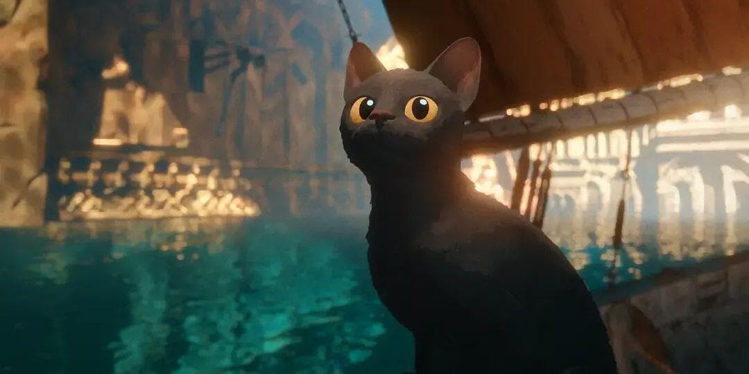 16岁开始做动画，他的“猫片”终于来中国了