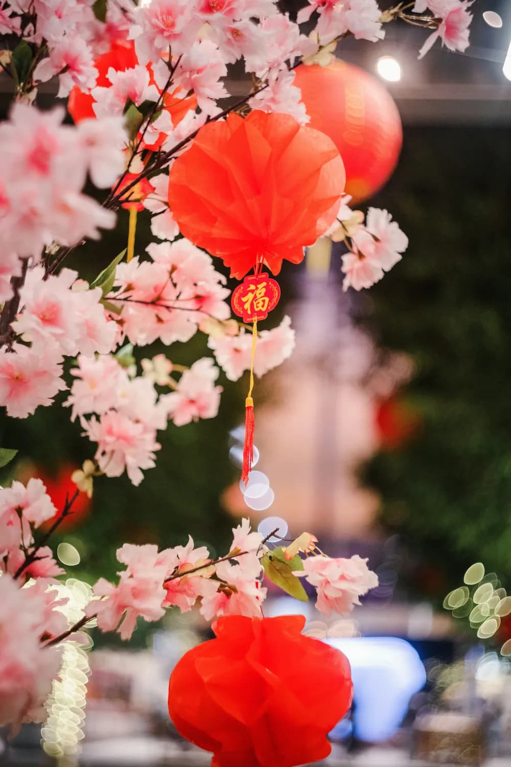 2024躲春期间，生肖狗如何避酒保运？
