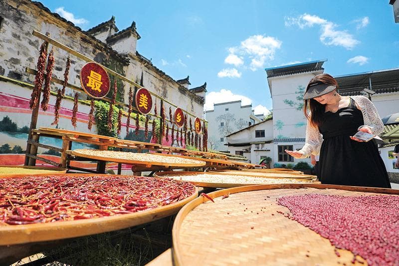 “城乡中国”考题新解