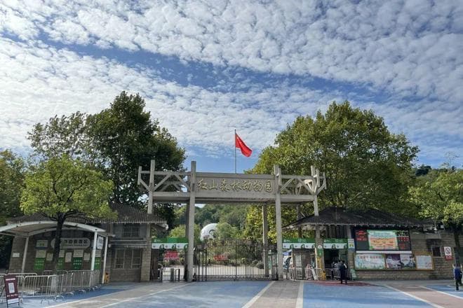 南京六大儿童友好公园游玩攻略