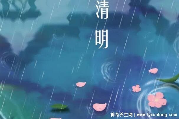 为什么清明节总是下雨？冷暖空气交汇与文化传统交织的奥秘