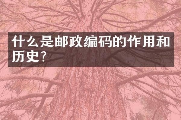 什么是邮政编码的作用和历史？