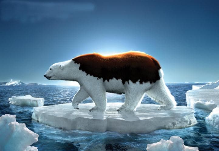 气候变化：换个角度看中国古代的王朝兴衰