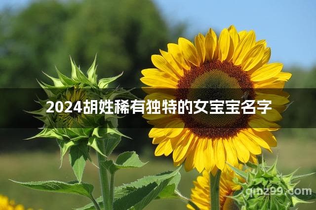 2024胡姓稀有独特的女宝宝名字