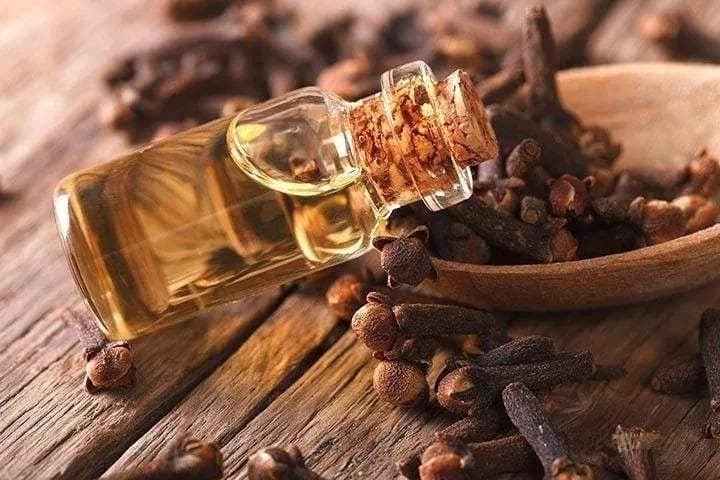 丁香精油：消炎止痛、助消化的居家常备良药