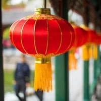 猫水碗和主食碗的正确摆放方式