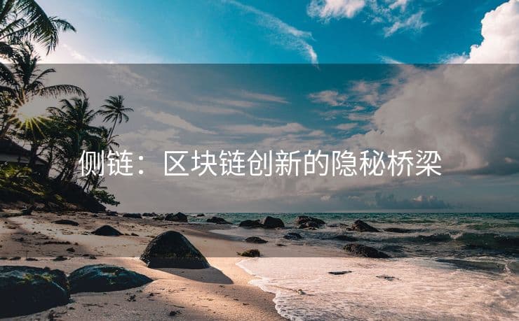 侧链：区块链创新的隐秘桥梁