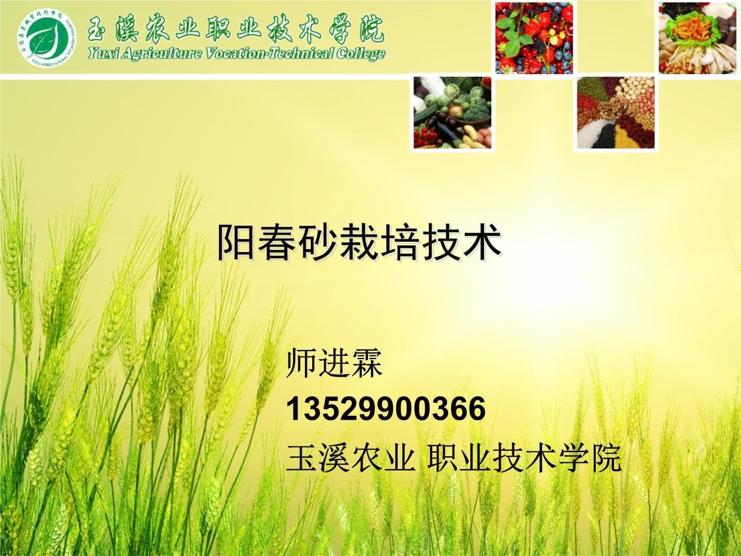 阳春砂栽培技术课件讲解