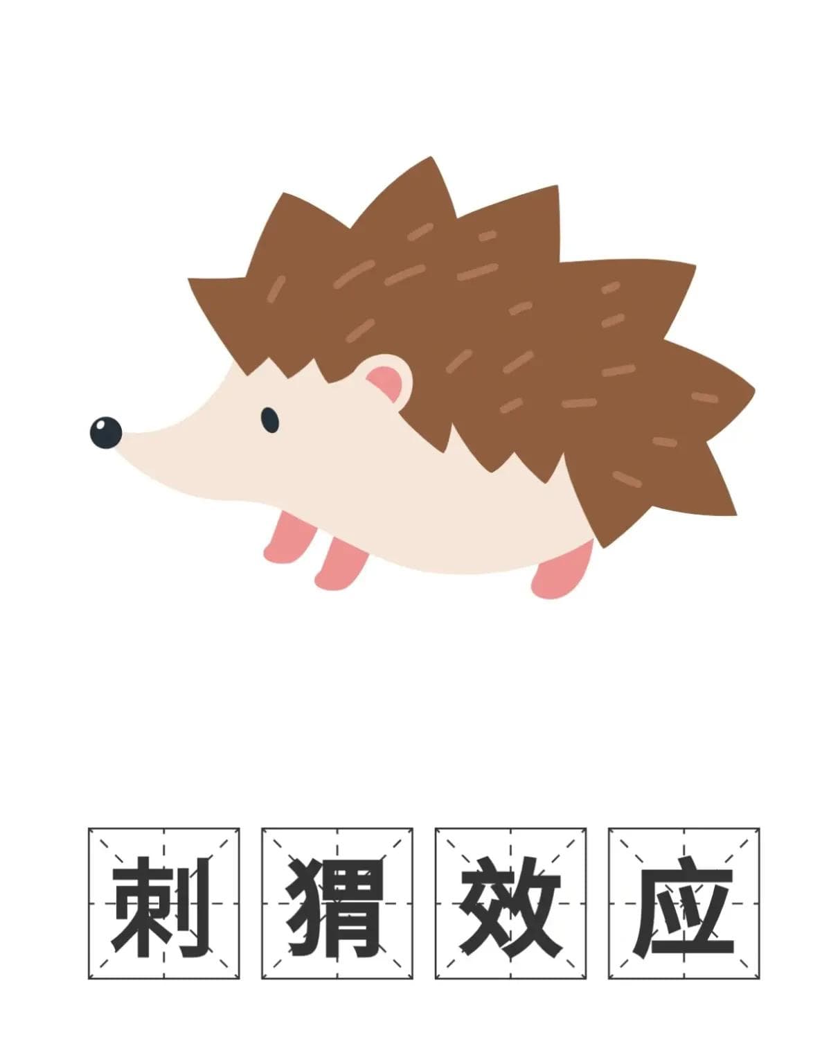 刺猬效应揭示：最亲密的关系也需要适当的距离