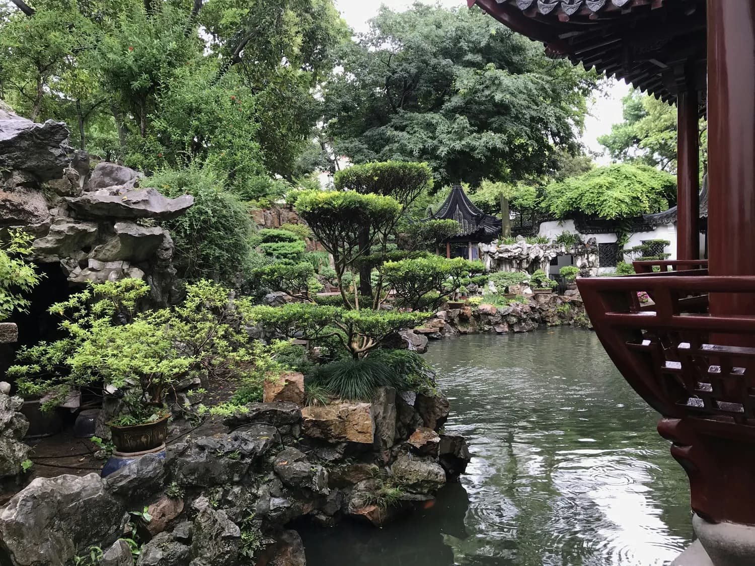 狮子林vs瞻园：江浙沪最美园林打卡地
