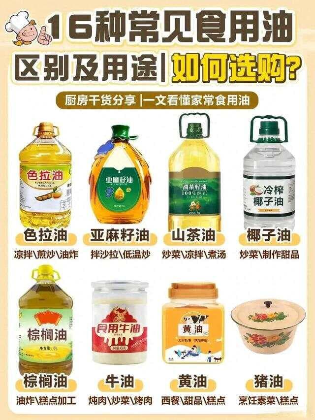 科普：各种食用油的区别和用途——供参考