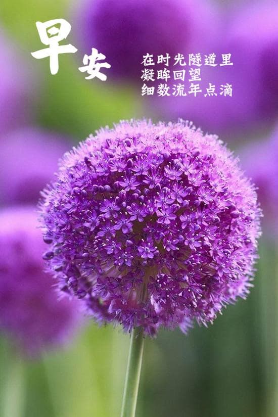 珍惜当下：生活、感情与时间的智慧