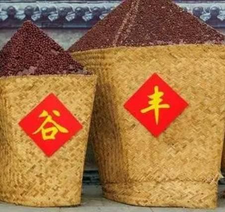 古代中国的粮食产量探究