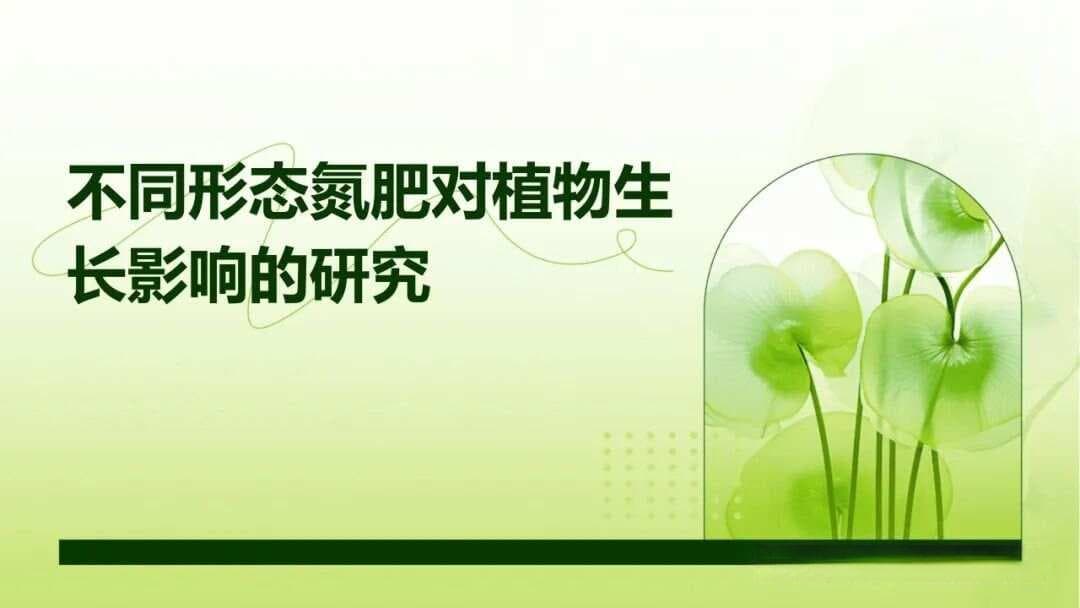 不同形态氮肥对植物生长影响的研究