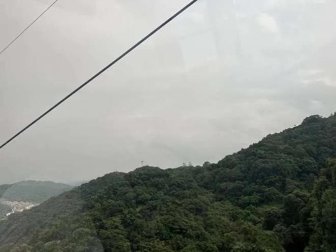 惠州，不止有西湖！十大必打卡景点让你流连忘返