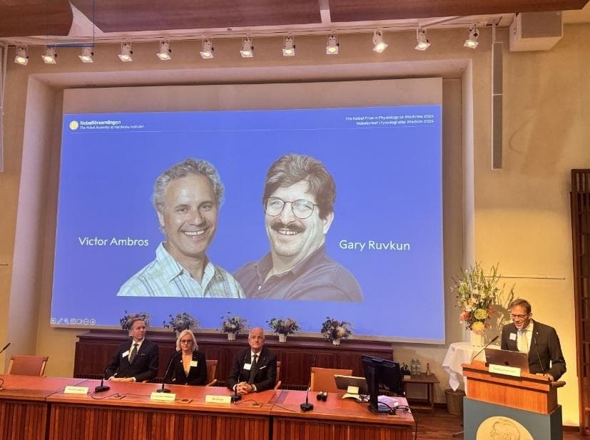 两位科学家获2024年诺贝尔生理学或医学奖