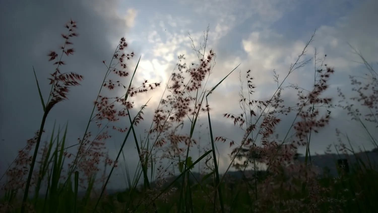 白居易《赋得古原草送别》：生命哲思与友情的珍重
