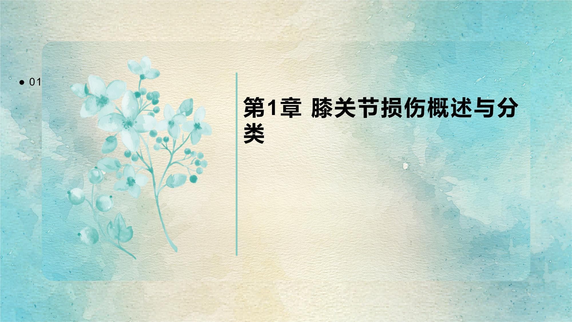 膝关节损伤的手术修复和康复计划