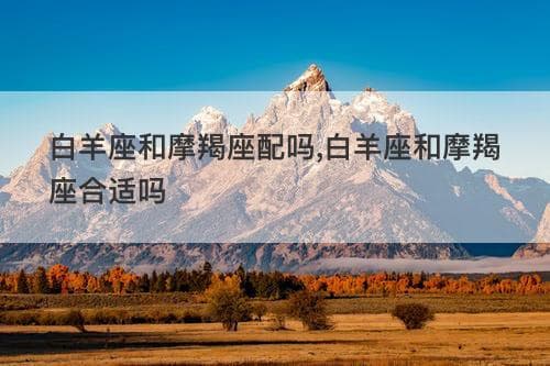白羊座和摩羯座配吗？性格迥异的两星座如何相处？