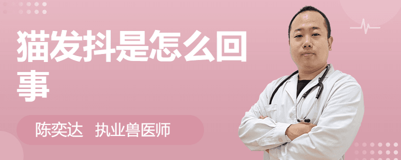 猫发抖是怎么回事