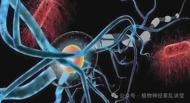 植物神经功能紊乱四大恼人问题，众多人士竟浑然不知！