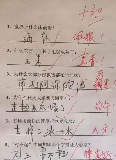小学生简答题出错率高，专家：与学习态度和审题能力有关