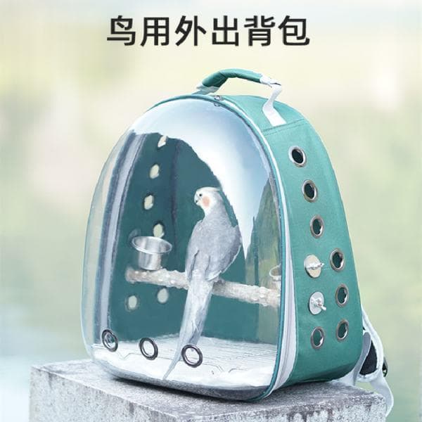 夏季如何携带龙猫外出？