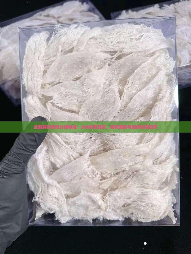 全面解析燕窝分级标准：从A级到顶级，如何鉴别与选购优质燕窝