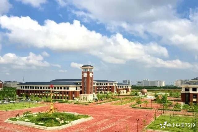 高校教学科研岗性价比如何？【博士】