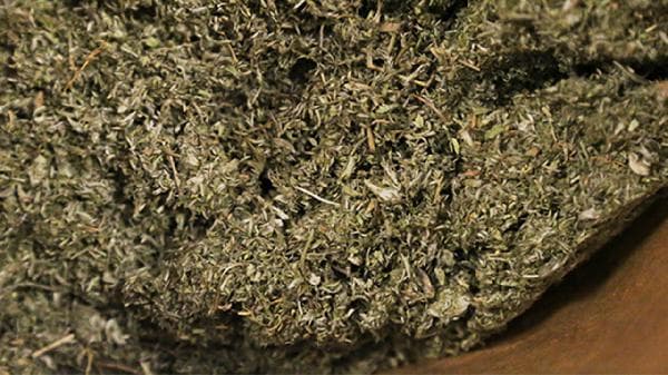 煎煮好的中药可以隔夜饮用吗