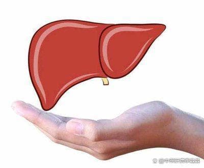 气出来的肝硬化，玫瑰花巧搭配，专管各种坏情绪