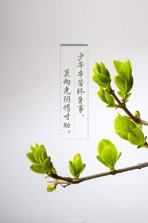 如何用语言描绘早晨的魅力？  用词语打开你眼中的美好一天!