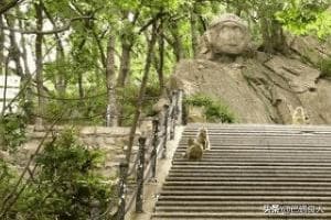 连云港连岛自驾游攻略：花果山必玩景点全解析