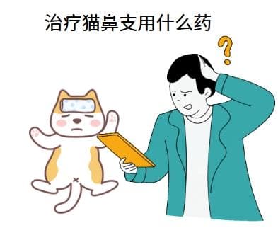 宠物主人必看：猫鼻支用这种人用药真的有效吗？