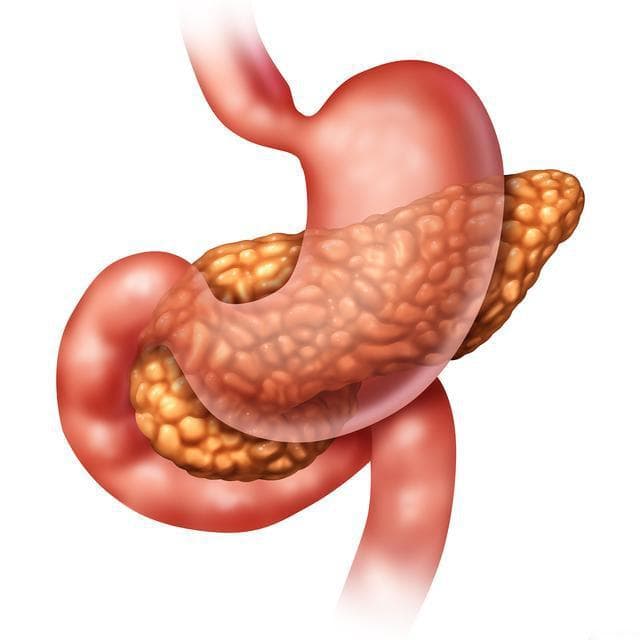 全球四分之一胰腺癌在我国，提醒：不想胰腺受伤，6 种食物要少吃