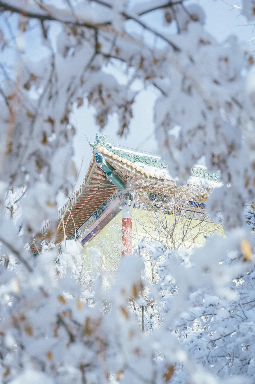 冬季自驾游北京至西安，赏最美雪景