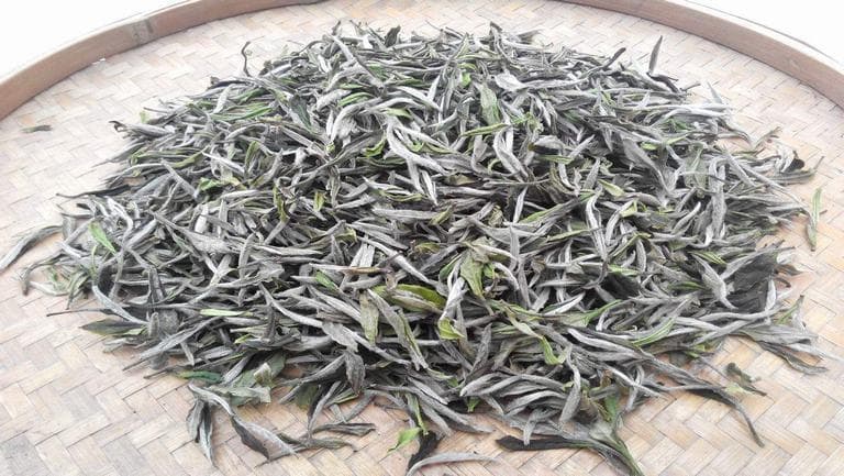 胃不好能喝白茶吗
