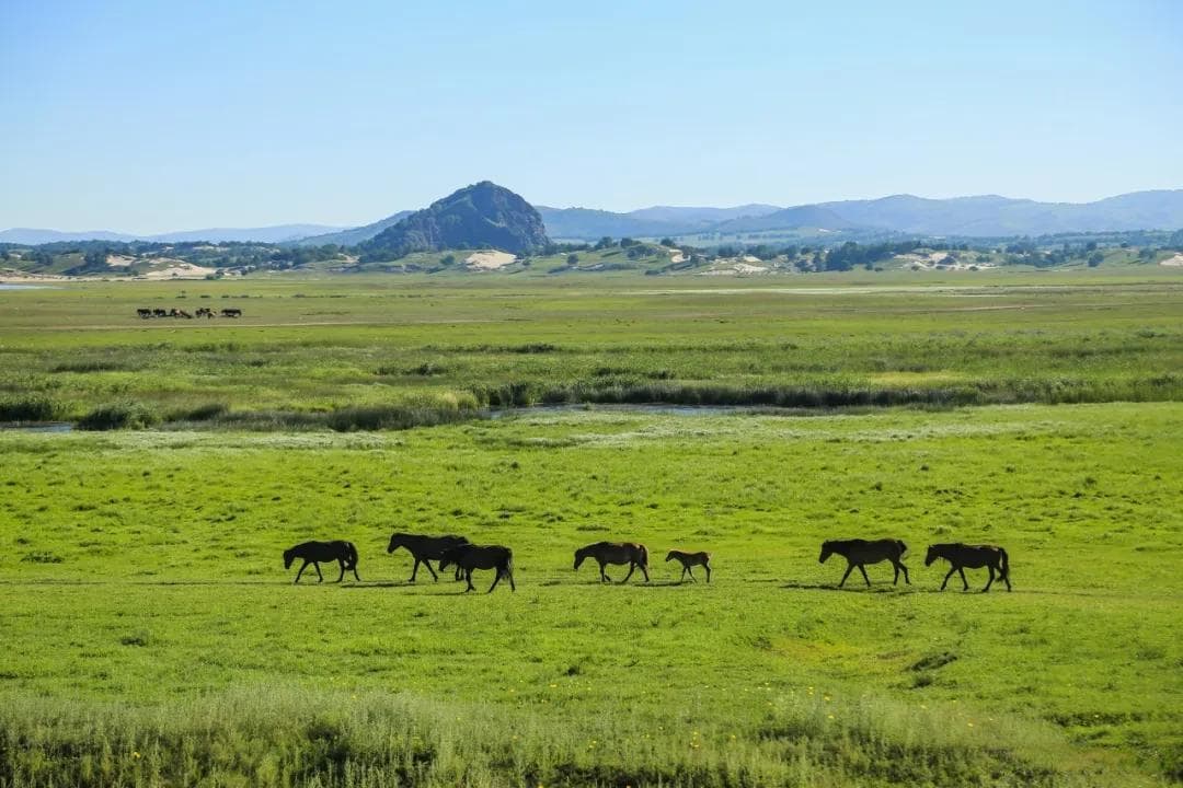 来“草原浓度”超高的赤峰，赏绝美风光，度惊喜假期！