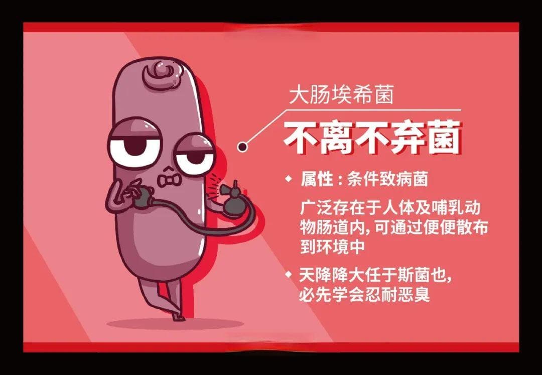 四大猖獗的致病菌，可能正在你家开 Party